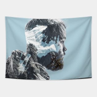 Mountain Tapestry