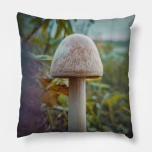 autumn fungal species Pillow