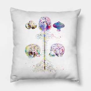 Brain and spine Pillow