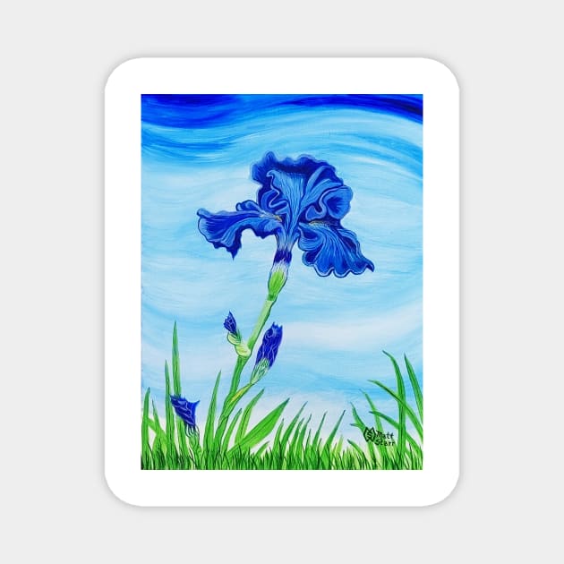 Blue Bearded Iris Magnet by Matt Starr Fine Art