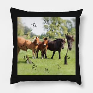 Three horses on pasture looking at camera Pillow