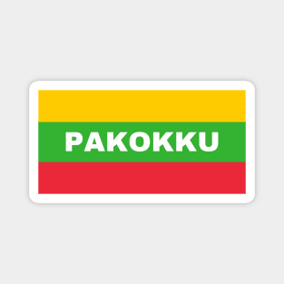 Pakokku City in Myanmar Flag Colors Magnet