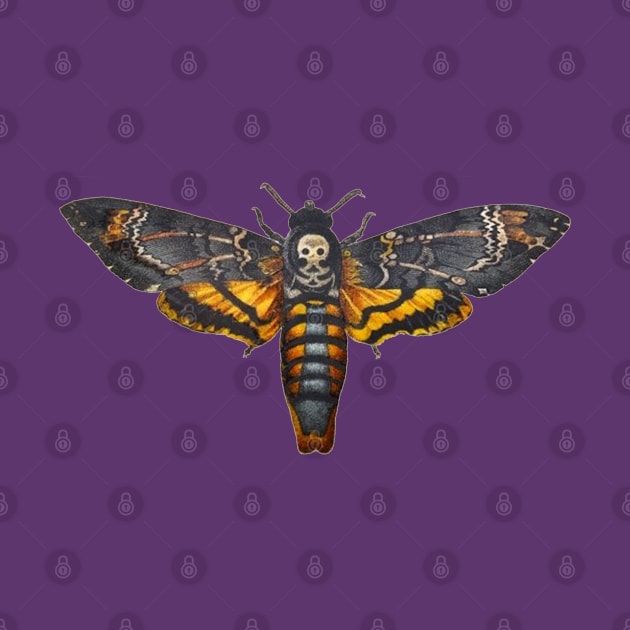 Death's Head Hawkmoth Acherontia atropos by The Curious Cabinet