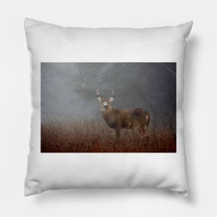 Big Buck - White-tailed deer Pillow