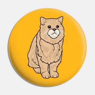 Chubby Orange Cat Pin