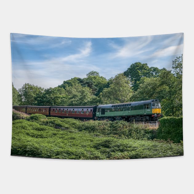 British Railways Class 25 D7628 Sybilla Tapestry by SteveHClark