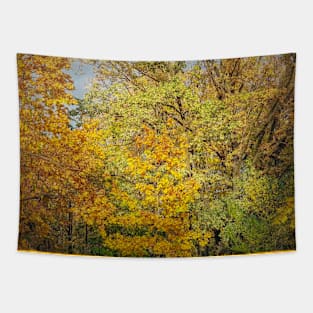 Colorful autumn trees Tapestry