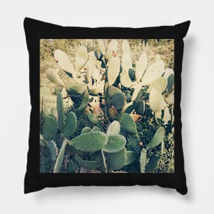 Cactus Garden II Pillow