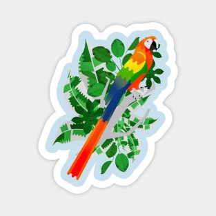 Rainbow macaw Magnet