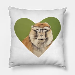 Barbary Macaque Pillow