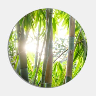 Sun through the Tropical Trees Photograph Pin