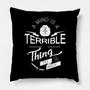 'A Mind Is A Terrible Thing To Waste' Education Shirt Pillow