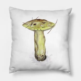 Tricholoma equestre Pillow