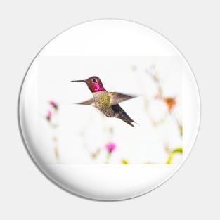 Anna's Hummingbird Pin