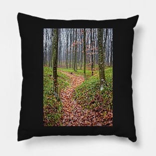 Forest alley Pillow