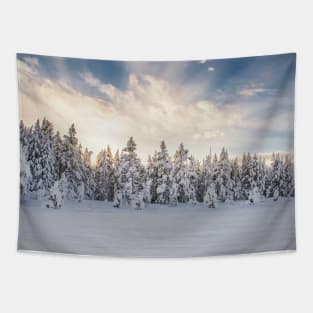 Winter in Yellowstone Tapestry