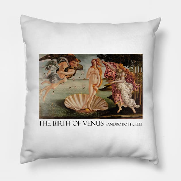 Venus Pillow by Laevs