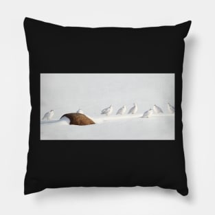 Ptarmigans, Churchill, Canada Pillow