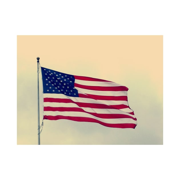 American Flag by Drmb