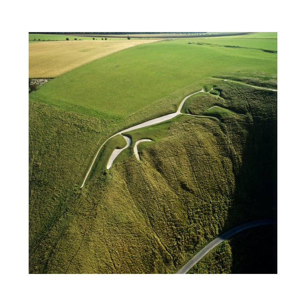 Uffington white horse (E755/0037) by SciencePhoto