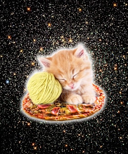 Galaxy Kitty Cat Riding Pizza In Space Magnet