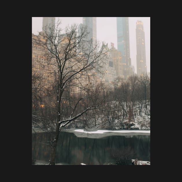 New York Winter 3 by igjustin