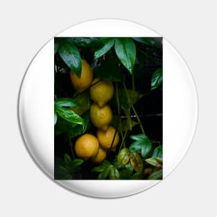 Italian restaurant lemon art Pin