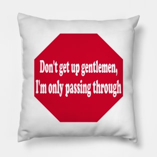 Passing Through Pillow