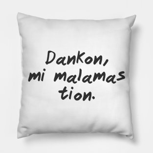 Thanks, I Hate It (Esperanto) Pillow