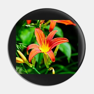 Lily Macro - Red/Orange Flower With Green Foliage Background Pin