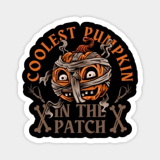 Coolest Pumpkin In The Patch Magnet