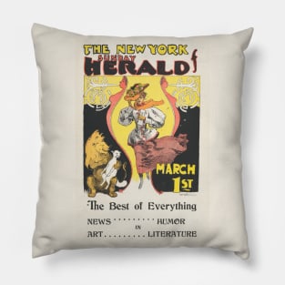 Cover for the Sunday Herald Pillow