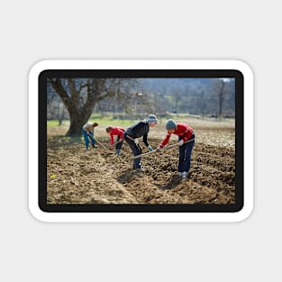 Sowing potatoes Magnet