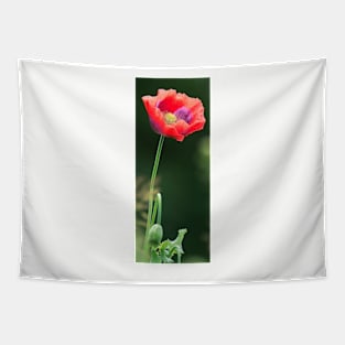 Poppy Tapestry