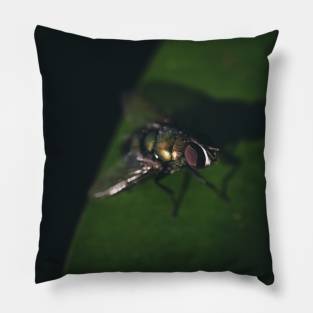 fly Pillow