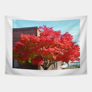 Red Maple Tree Tapestry