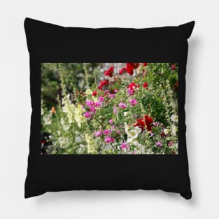 Hollyhock, hollyhock, hollyhock, flower, blossom, fence, garden fence, colorful Pillow