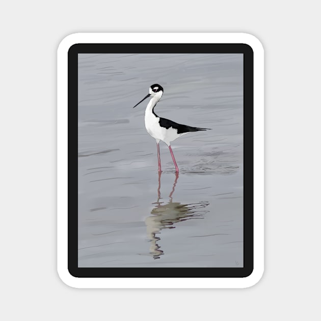 The Black Necked Stilt Bird Magnet by laceylschmidt