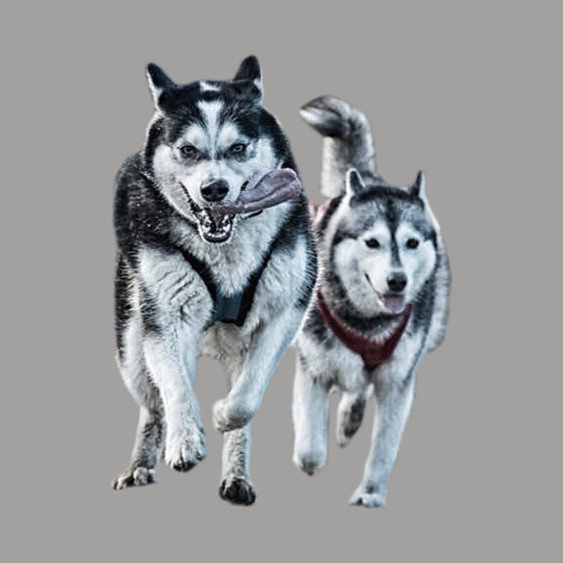 Siberian Huskies Siberian Husky Pillow Teepublic