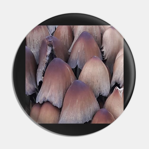 Inky-cap Mushrooms Pin by robelf