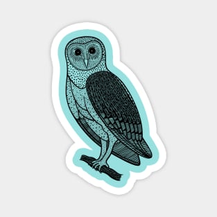 Barn Owl - hand drawn detailed nocturnal bird design Magnet