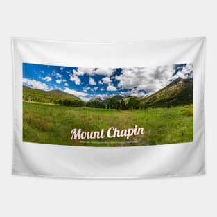 Mount Chapin from Sheep Lakes Tapestry