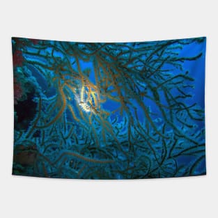 Whip Coral Tapestry