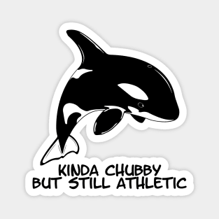 Kinda Chubby Orca Magnet