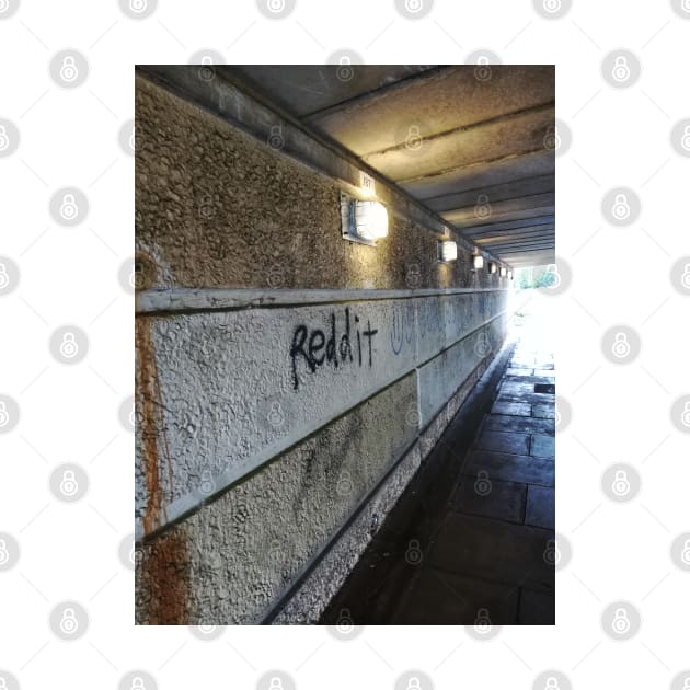 Reddit Underpass Graffiti by mwcannon