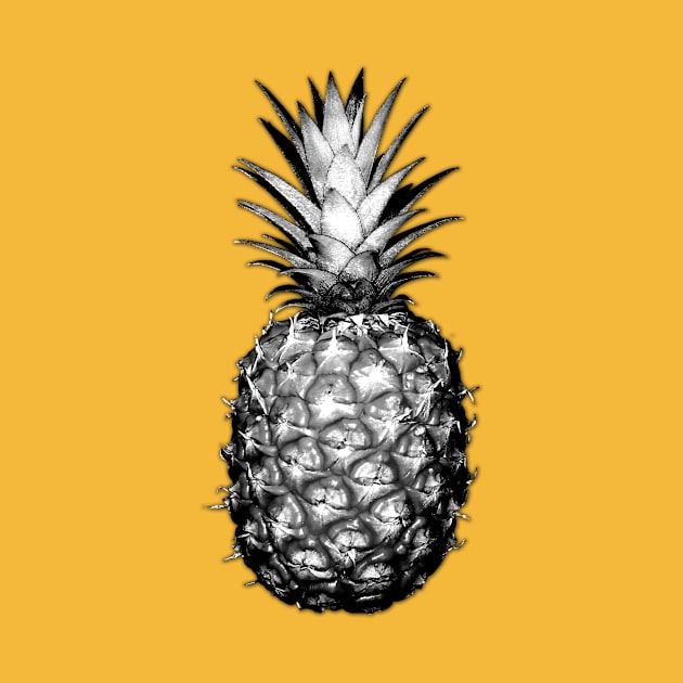 Black & White Pineapples by CumulusFactory