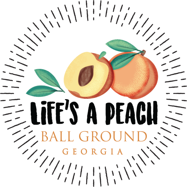 Life's a Peach Ball Ground, Georgia Kids T-Shirt by Gestalt Imagery