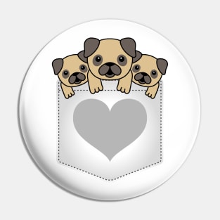 puppies in shirt pocket Pin