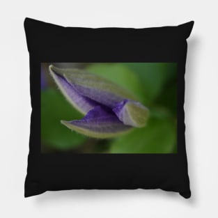 Clematis about to open Pillow