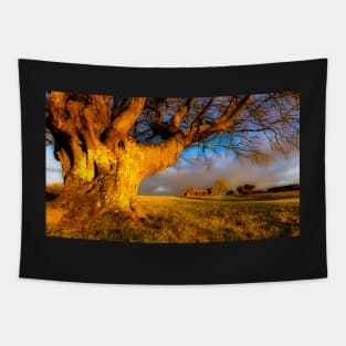 Welsh Evening Light Tapestry